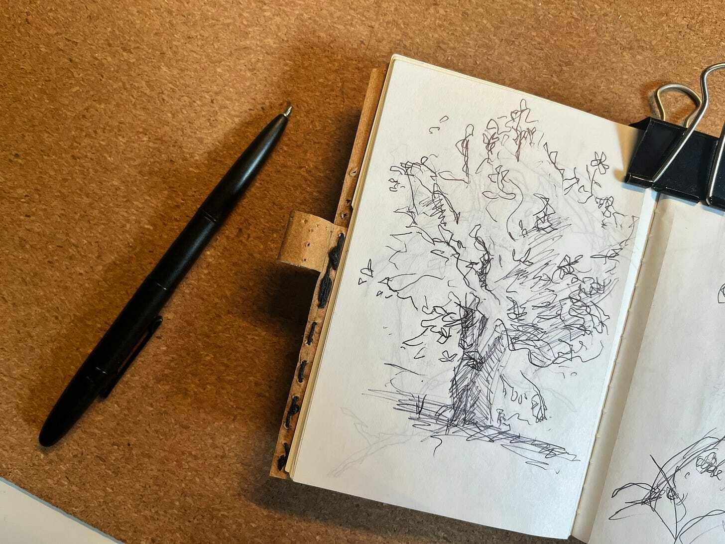 A ballpoint pen sketch of a tree. It's very loose, with lots of scribbly lines.